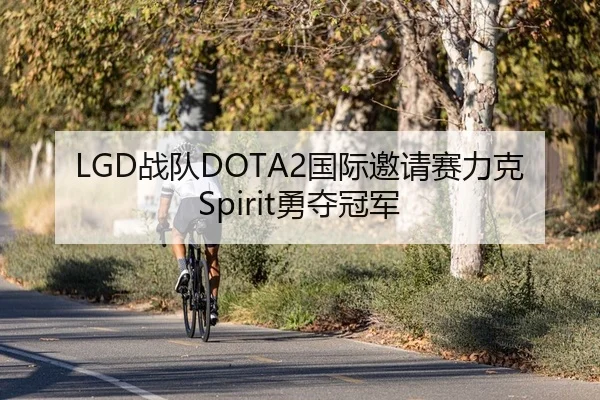 LGD战队DOTA2国际邀请赛力克Spirit勇夺冠军